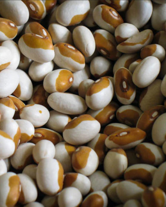 Heirloom Beans