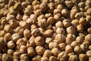 Garbanzo Bean (Chickpea), Rancho Gordo - Heirloom beans