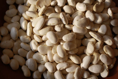 Cassoulet (Tarbais) bean-Rancho Gordo, Heirloom beans.