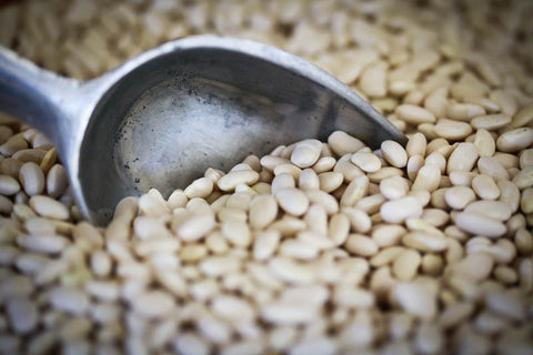 RanAyocote Blanco, a white medium size bean-Rancho Gordo, Heirloom beans.