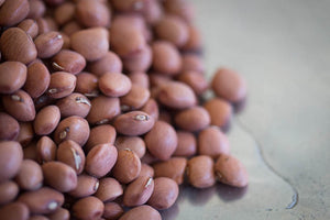 Santa Maria Pinquitos, a small round pink bean - Rancho Gordo, Heirloom beans